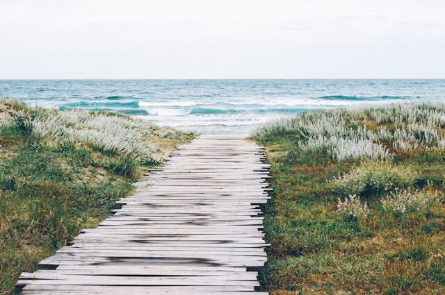 A path made of wooden planks stretches through a meadow and towards the ocean behind.